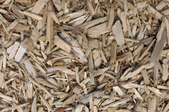 biomass boilers Combe